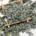 Xinjiang Origin GWS A Kernel Seeds Pumkpin