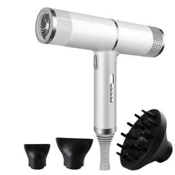 1000W High-Quality Portable Salon Hair Dryer - Multiple Colors