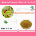 Water Soluble Rangoon Creeper Extract Powder