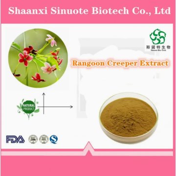 Water Soluble Rangoon Creeper Extract Powder