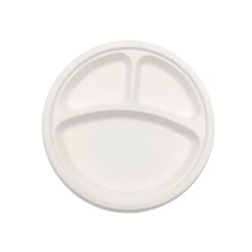 sugarcane bagasse packaging 10 inch plates disposable