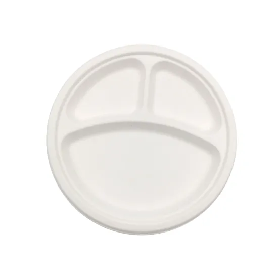 sugarcane bagasse packaging 10 inch plates disposable