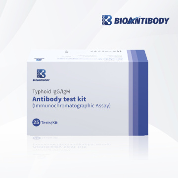 Kit de test d&#39;anticorps Typhoid IgM / IgM