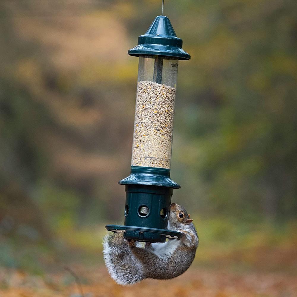 Squirrel Buster más alimentador de aves a prueba de ardillas