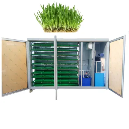 Mung Bean Sprouts Making Machine & Hydroponic Seed Sprouting Equipment