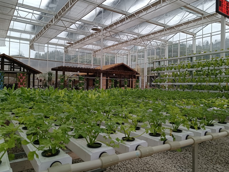 Qingcheng Agriculture has landed the Zhongxian Glass Greenhouse Project, showcasing a new landscape of modern agriculture with smart facilities