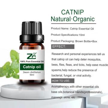 Óleos de aromaterapia naturais Catnip Orgânicos Óleo Essential