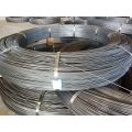 Hard Drawn 65Mn,1070,72A,82B Spring Steel Wire