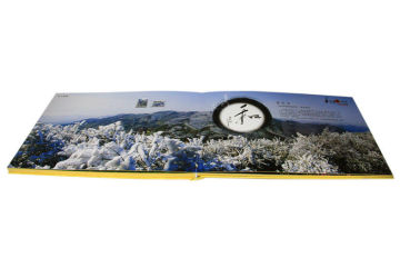 A3 Professional Photo Album Printing , Wedding Photo Album Printing