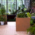 Jardins en plein air du jardin surélevé Corten Steel