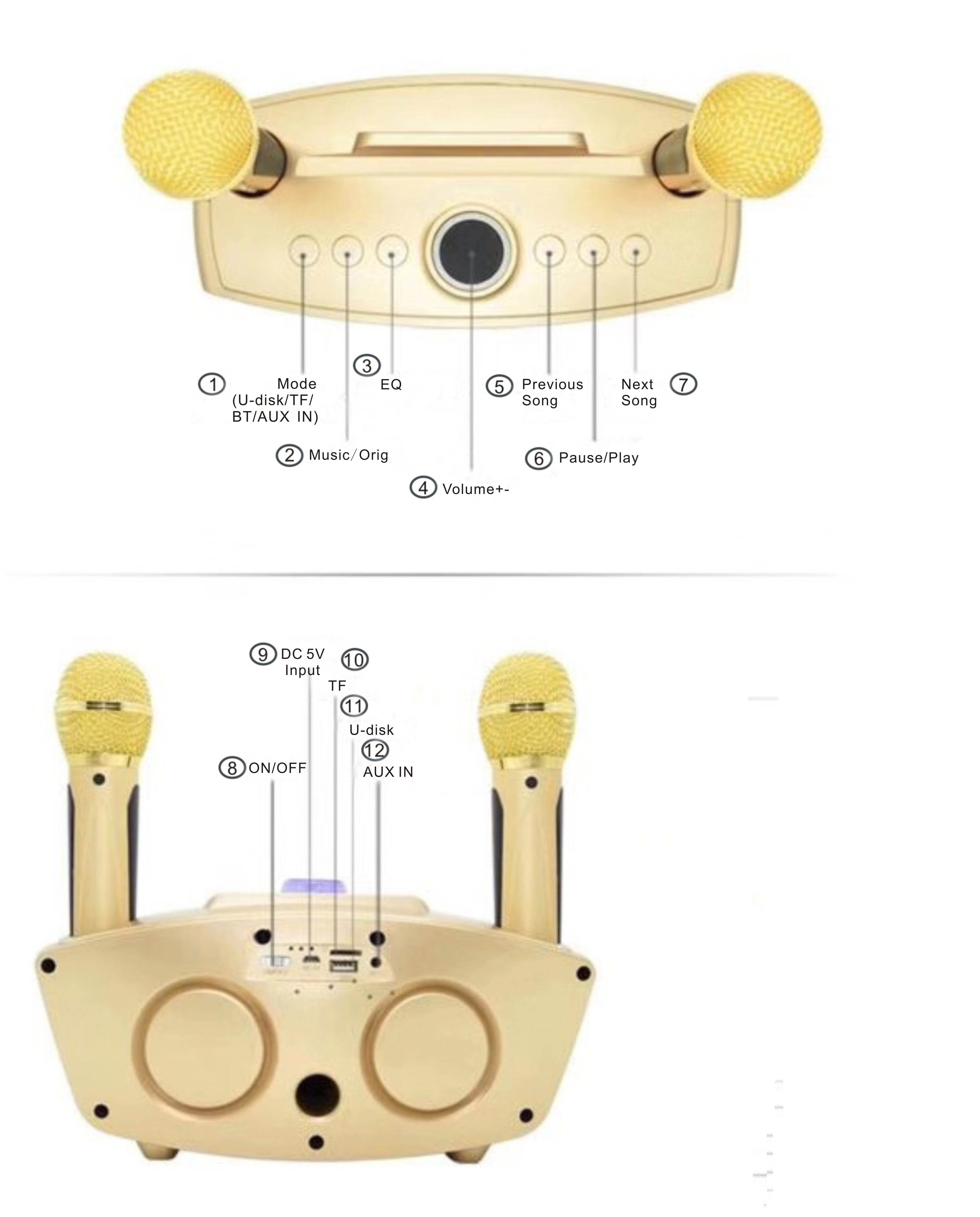 Removable Karaoke Home Speaker