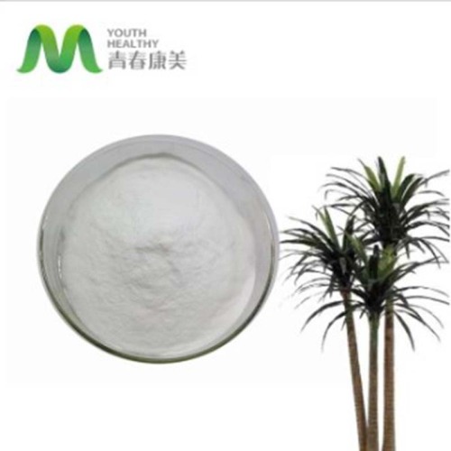 China Female Health Palmetto Extract Powder Manufactory