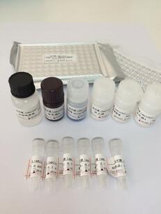 Ampicillin ELISA Test Kit(tissue and liver,honey)