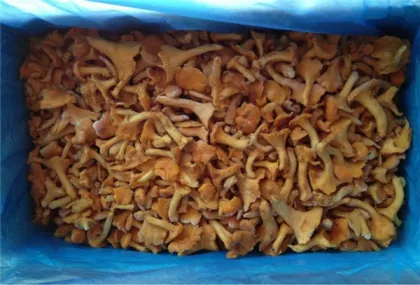 Frozen Wild Chanterelles Mushrooms