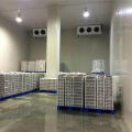 Sala de almacenamiento de refrigeración de frutas y vegetales.