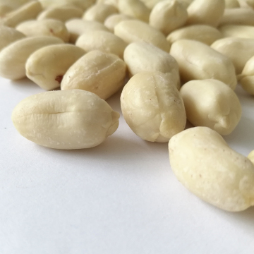 Blanched peanut kernels