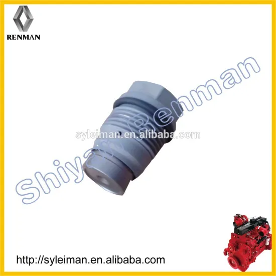 3974093 Injector Plumbing pressure relief valve