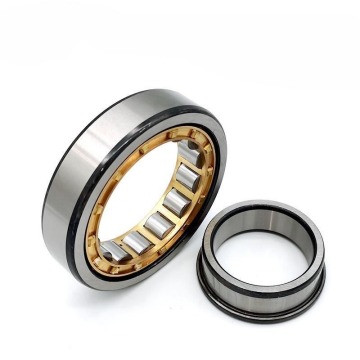 NU Series RN309 309 RN Cylindrical Roller Bearings