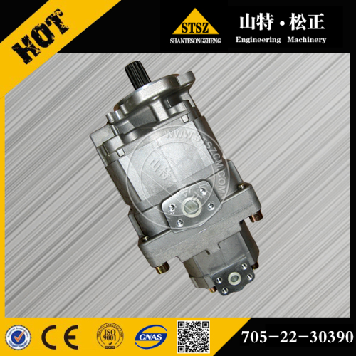 KOMATSU 펌프 Assy 705-22-30390 기어 펌프 Assy 705-22-30390