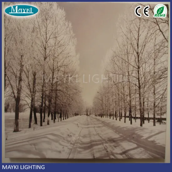 Fiber optic pictures light up canvas islamic wall pictures , home plants decoration