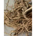 Pure Polygala Fallax Extract for Stress Relief and Relaxation