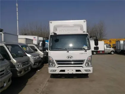 Hyundai 141Hp diesel freezer truck