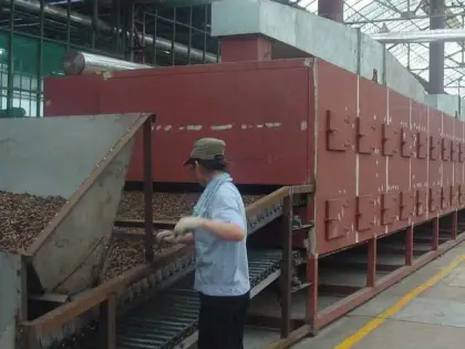 Sweet potato chips DW Multi-layer Belt Dryer