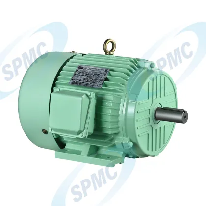 IEC Standard Industrial Induction Motor