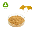 Ginkgo Biloba Extract Powder Medicine In Bulk Organic