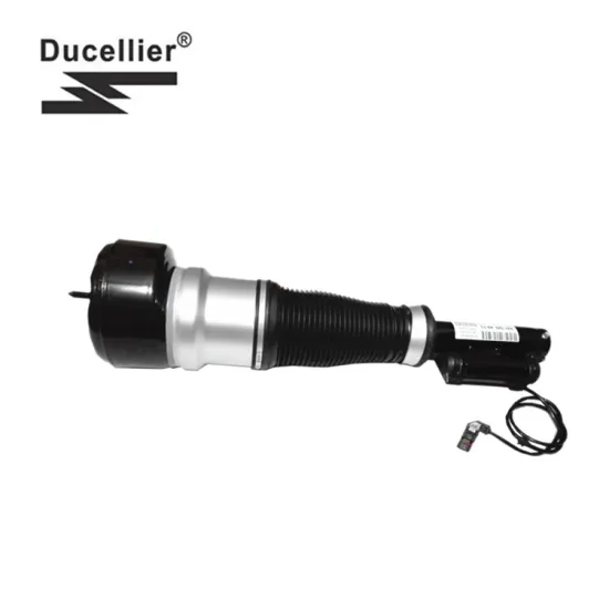 Mercedes-Benz W221 Air Suspension Shock Absorber 2213204913 2213209313 Front Shock Absorber