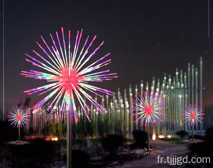 Lumières LED de feu d'artifice extérieur