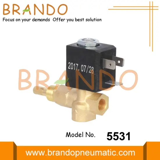 220V 230V Gas Brass Solenoid Valve For Oven