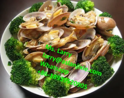Seafood Ultrasonic Cleaning Tank: Lobster Cleaning Machine & Scallop Washer