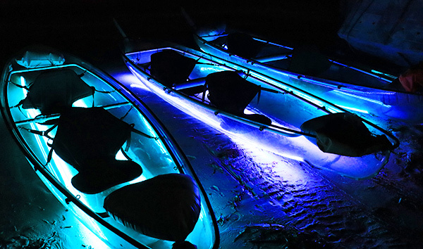 Hot Selling Plastic Clear Kayaks for 2 Person with Paddle and Cushion