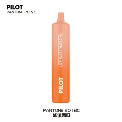 Marbo Disposable Vape Pen Pilot Max 2500puffs