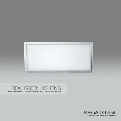 20W 196*596*10mm 1200LM LED Integrated Ceiling Panel Light Indoor Ceiling Light