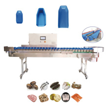 automatic Weight grading machine