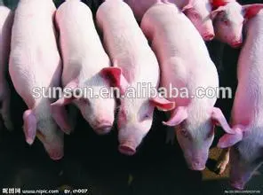 Feed Beta-glucanase reducing viscosity for animal nutrition