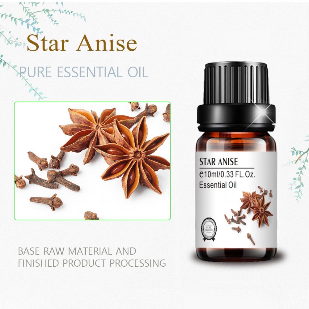 wholesale bulk top quality star anise oil for massage