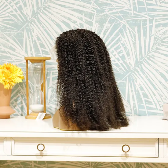Transparent afro kinky human hair wig tangle free natural glueless curly afro wigs for black women with baby hair