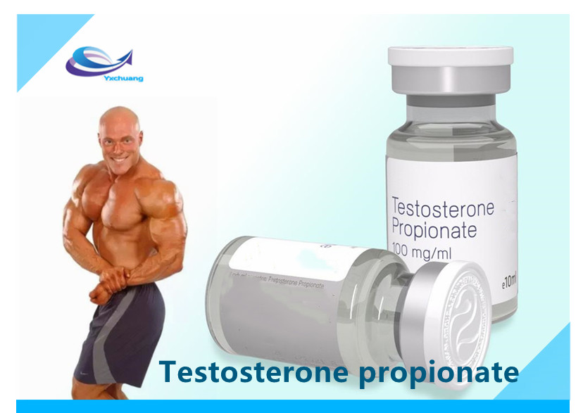 Bodybuilding Steroids Hormone Testosterone Propionate