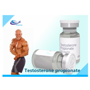 Bodybuilding Steroids Hormone Testosterone Propionate