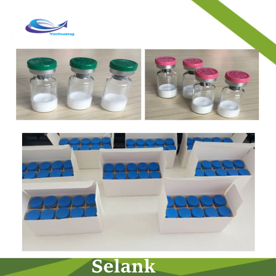 Top Quality Bulk Price Selank Powder for Bodybuilding