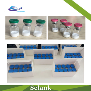 Nootropics Bodybuilding Powder Peptides Selank