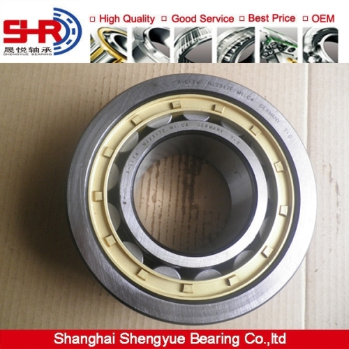 High quality roller bearing NJ2317E.M1.C4 Cylindrical Roller Bearing