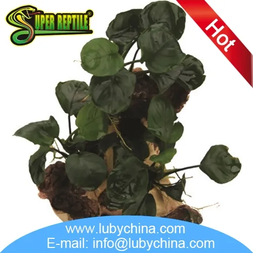 Top quality reptile ornaments supplies for reptile and insect display