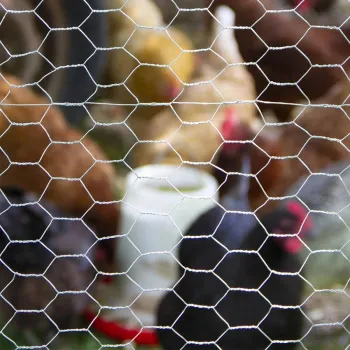 Best Price Suppliers for High Quality 10mm Galvanized/PVC Coated Chicken Coop Hexagonal Wire Mesh Crimped Technique Cutting