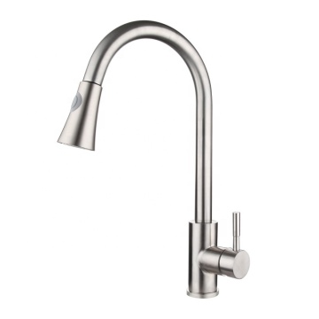 Stainless Steel Kitchen Faucet with Pull Down Sprayer