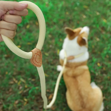 Tali Anjing Mofesipi dan Set Kerah - Nyaman Pegangan Nylon Nylon Berat Tali Anjing dan Kerah
