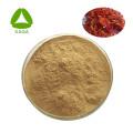 Honegsukle Flower Extract 98% Chlorogenic Acid Powder